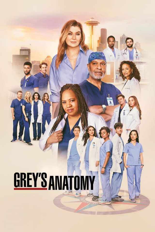 Follows the personal and professional lives of a group of doctors at Seattle’s Grey Sloan Memorial Hospital.