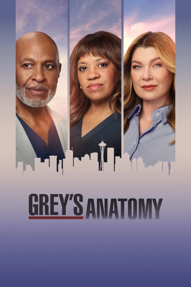 Follows the personal and professional lives of a group of doctors at Seattle's Grey Sloan Memorial Hospital.